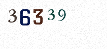 Visual Confirmation Security Code