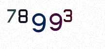 Visual Confirmation Security Code