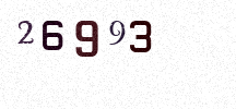 Visual Confirmation Security Code