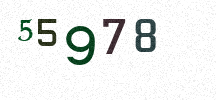 Visual Confirmation Security Code