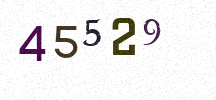 Visual Confirmation Security Code